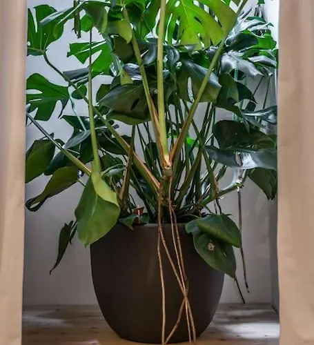 Ab - Via Arienti 15 *